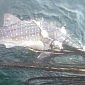 Juvenile Whale Shark Rescued After Getting Caught in Fishing Nets