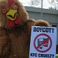 KFC Protester Dressed as a Chicken Gets Food Thrown at Him