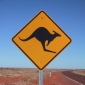 Kangaroos Endangered by Global Warming