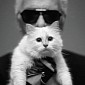 Karl Lagerfeld’s Cat Choupette Made €3 Million ($3.2 million) in Endorsements Last Year