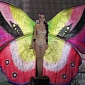 Katy Perry Turns into Gorgeous Butterfly at MuchMusic