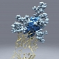 Key Part of Hepatitis C Virus Imaged in Great Detail