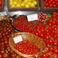 Killer Tomatoes: Salmonella Outbreak Threat in the US