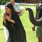 Kim Kardashian Gets Viciously Attacked by an Elephant in Thailand – Photo