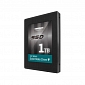 Kingmax SSD Family Attains 1TB Capacity