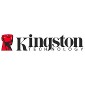 Kingston Achieves Record Revenues in 2010