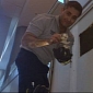 Kittens Get Stuck in Ceiling at Miami International Airport – Photo