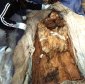 Korean Mummies Reveal a 700-Year-Old Asian Romeo and Juliet Story
