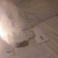 LG G3 Explodes While Charging in Bed, Allegedly Using the Manufacturer’s Battery