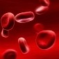 Lab-Grown Blood Transfusions Could Soon Become Reality