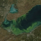 Large Algae Blooms Seen in Lake Erie