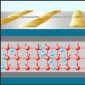 Large Electron Spin Polarization, Basis for Future Computers, Proven in Silicon