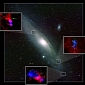 Large Organic Molecules Found in Two Galaxies