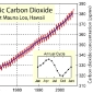 Largest CO2 Levels Recorded Last Year