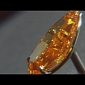 Largest Orange Diamond Ever Sells for Record $35 (€26) Million