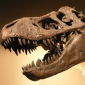 Lasers Establish the Weight of Dinosaurs