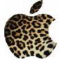 Latest Rumor: Apple's Leopard Scheduled for April!