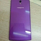 Leaked Oppo Find 7 Photo Emerges Online