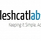 Leshcat Launches New UnifL Catalyst Graphics Driver 13.12 WHQL