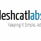 Leshcat Outs a Second Version of the 13.4 WHQL Catalyst Driver