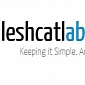 Leshcat's 13.4 WHQL Version of Catalyst Is Out
