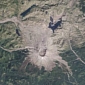 Life Recovering 30 Years After Mount St. Helens Eruption