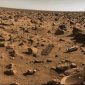 Life on Mars, Explained by Methane-Producing Microbes