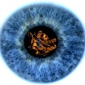 Light Detecting Enzyme in the Eye Discovered