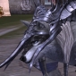 Lineage II The Kamael New Pet System Explained