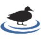 The Newest Member of The Linux Foundation: Black Duck Software