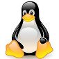 Linux Kernel Maintainer Joins The Linux Foundation