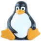 Linux Kernel Vulnerability: IPv6 Sockets Local DoS