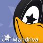 Linux Mandriva 2006, Ready to Install
