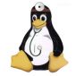 Linux in charge of US health