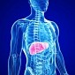 Liver Cirrhosis Affects 633,000 Adults in the US Annually