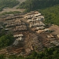 Logging Contributes Greatly to Climate Change, Global Warming