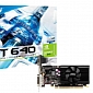 Low Profile, Single Slot MSI GeForce GT 640 Graphics Card Has Three Video Ports