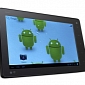 Low-Cost Android Devices Snatched 84% of Tablet Market in Central and Eastern Europe in Q2