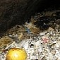 Lump of Fat the Size of a Boeing 747 Blocks London Sewers