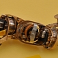MIT Creates Shape-Shifting, Tiny Robot, Relies on Magnets – Video