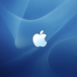 Mac OS X 10.6 Snow Leopard to Break Away from Aqua