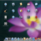 Mac OS X Lion Preview: Launchpad, Mission Control