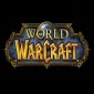 Made in Turkey: World of Warcraft