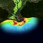Major Dead Zone Is Forming in the Gulf of Mexico