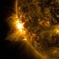 Major Flares Documented on the Sun This Past June 10