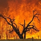 Major Wildfires Sweep Through Australia, 100 People Go Missing