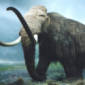 Mammoths Traveled Below 40°N Latitude As Well