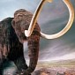 Mammoths and Mastodons Were the “Hipsters of the Ice Age,” Researchers Say