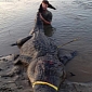 Man Catches 727-Pound (330-Kg) Alligator, Breaks State Record in Mississippi