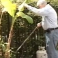 Man Doing Garden Work Finds Live Grenade in His Yard